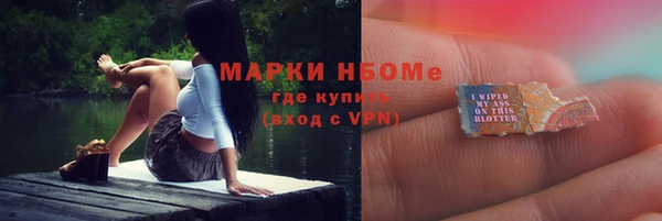 соль ск Богородск