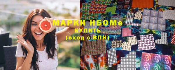 соль ск Богородск