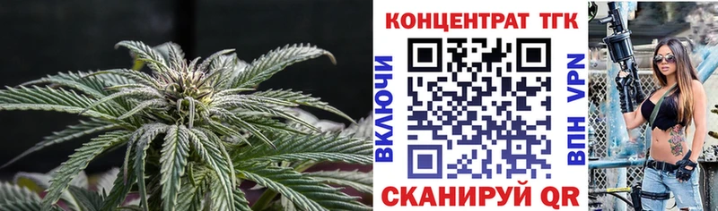 Дистиллят ТГК гашишное масло  OMG маркетплейс  Высоцк 