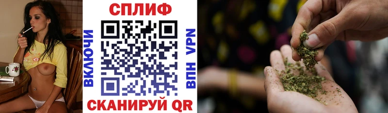 Каннабис сатива Высоцк